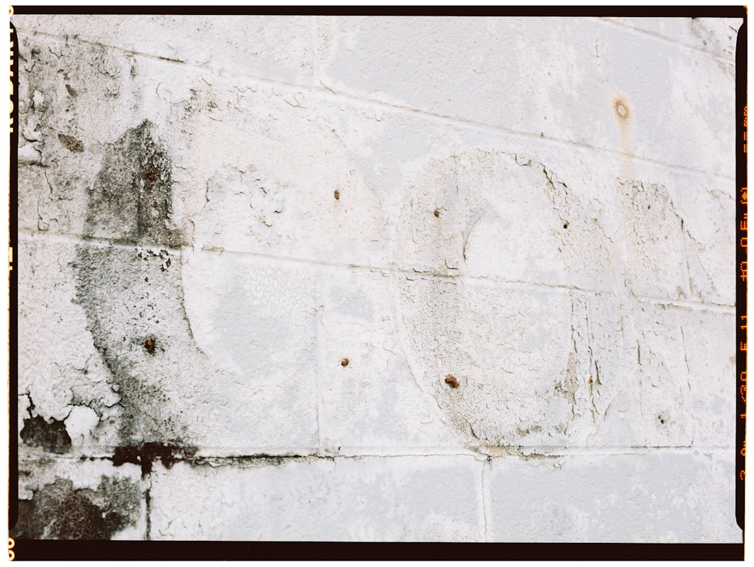 Flood Cleanup service in North Port, FL